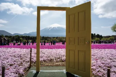 一度は行きたい♪芝桜×富士山の絶景「富士芝桜まつり」