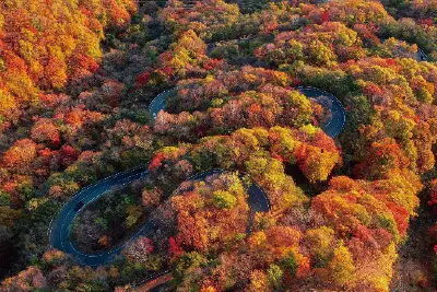 紅葉前線は北から南へ