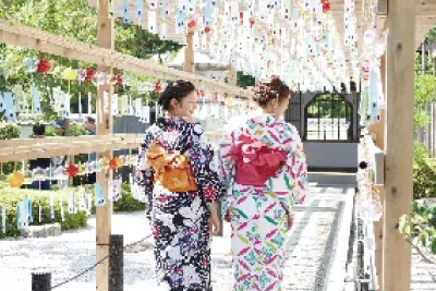 目にも耳にも涼しく感じる夏の風物詩