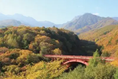 『紅葉の秋』は、秋ならではの絶景を楽しもう!