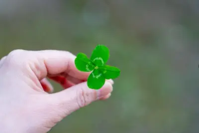 小さな幸運の発見とワクワク感