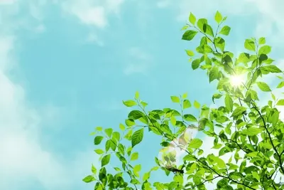 新生活前の思い出づくりにぴったりの一日旅