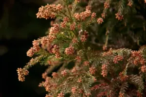 花粉の季節でも楽しめる春のおでかけ