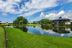 花粉を避けて楽しむ 春のおすすめツアー