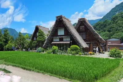 絶景・グルメ・体験が揃うバリエーション豊富なツアー