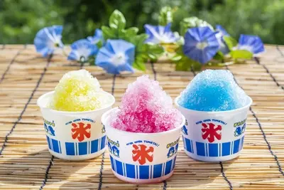 夏ならではの魅力を一日で満喫できる贅沢さ
