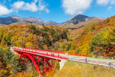 「赤い橋」と紅葉が描く、秋の八ヶ岳絶景ドライブ