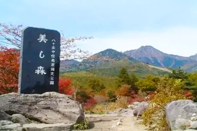美し森から眺める大パノラマと山の恵みを味わうランチ