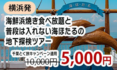 横浜発　海鮮浜焼き食べ放題と普段は入れない海ほたるの地下探検ツアー