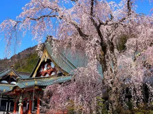 身延山久遠寺