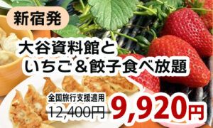 新宿発　『宇都宮餃子』の食べ放題と栃木で大人気のいちご『スカイベリー』の食べ放題