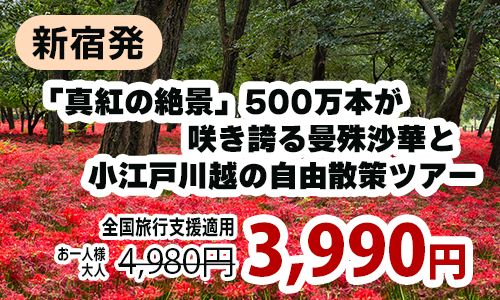 新宿発　「真紅の絶景」500万本が咲き誇る曼殊沙華と小江戸川越の自由散策ツアー
