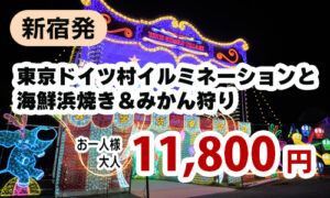 新宿発　関東最大級 光と音のファンタジー・東京ドイツ村イルミネーションと海鮮浜焼きにみかんまで食べ放題！！ 秋の房総満喫ツアー