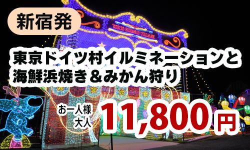 新宿発　関東最大級 光と音のファンタジー・東京ドイツ村イルミネーションと海鮮浜焼きにみかんまで食べ放題！！ 秋の房総満喫ツアー