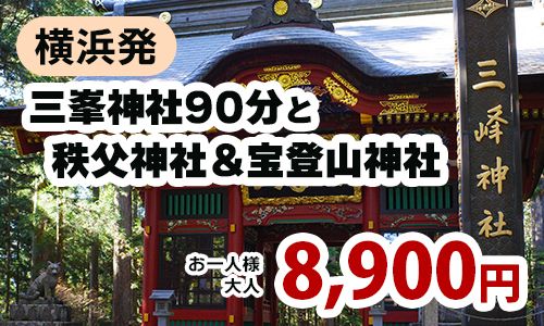 関東最強!?のパワースポット三峯神社でたっぷり90分散策　宝登山神社・秩父神社・三峯神社の秩父三社めぐり