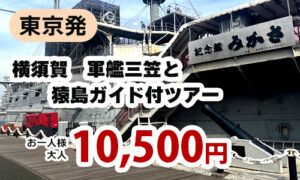 東京発　横須賀　軍艦三笠と猿島ガイド付ツアー