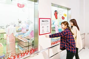 めんたいパーク