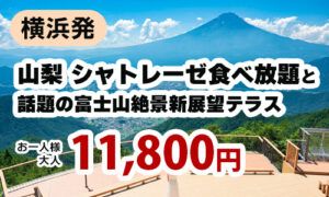 山梨 シャトレーゼ食べ放題と話題の富士山絶景新展望テラス
