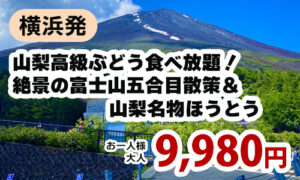 山梨高級ぶどう食べ放題！絶景の富士山五合目散策＆ 山梨名物ほうとう