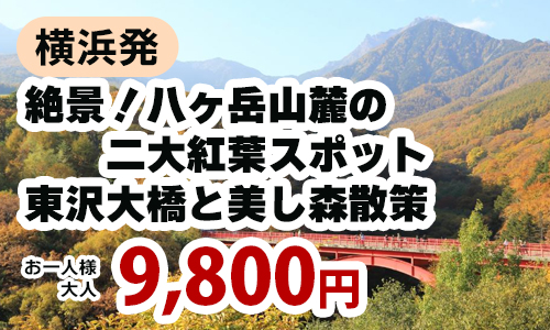 横浜発 　絶景！八ヶ岳山麓の二大紅葉スポット　東沢大橋と美し森散策