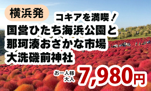 コキアを満喫！国営ひたち海浜公園と那珂湊おさかな市場　大洗磯前神社