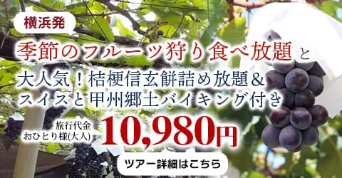 横浜発　季節のフルーツ狩り食べ放題と大人気！桔梗信玄餅詰め放題＆スイスと甲州郷土バイキング付き