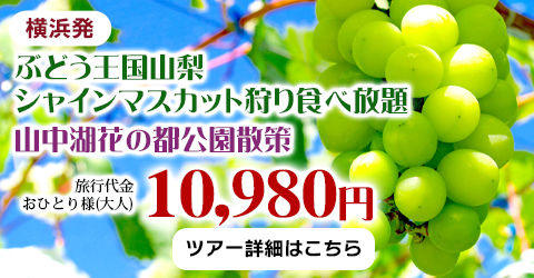 ぶどう王国山梨シャインマスカット狩り食べ放題と山中湖花の都公園散策