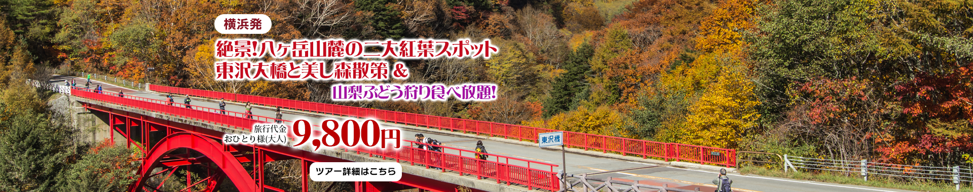 横浜発　絶景！八ヶ岳山麓の二大紅葉スポット東沢大橋と美し森散策＆山梨ぶどう狩り食べ放題！