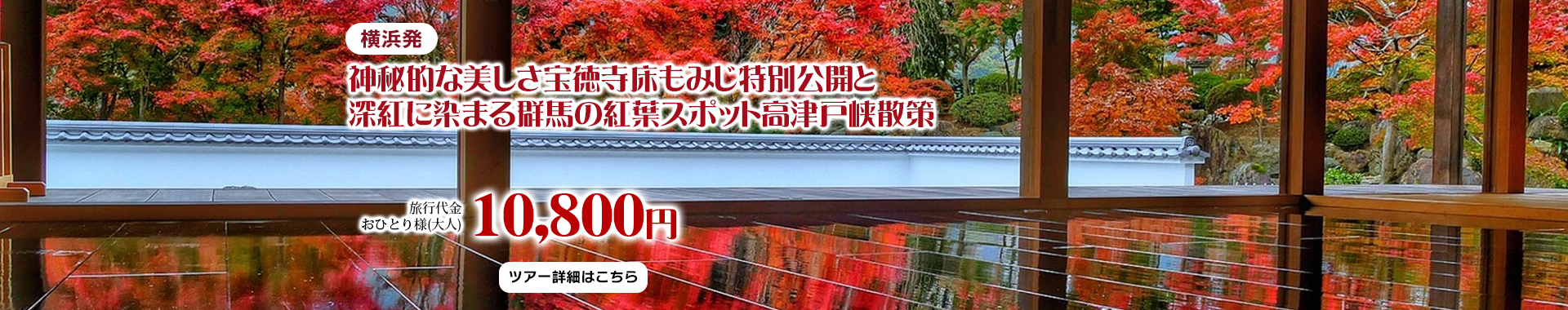 横浜発　神秘的な美しさ宝徳寺床もみじ特別公開と深紅に染まる群馬の紅葉スポット高津戸峡散策