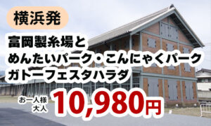 富岡製糸場とめんたいパーク・こんにゃくパーク ガトーフェスタハラダ