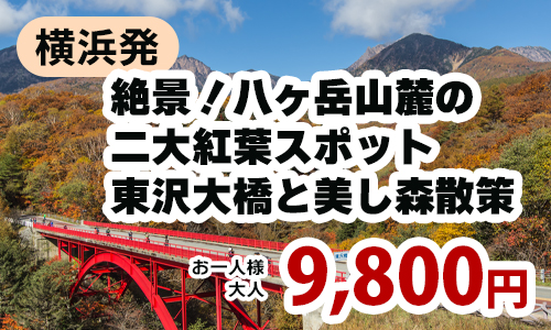 横浜発 　絶景！八ヶ岳山麓の二大紅葉スポット　東沢大橋と美し森散策