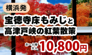 宝徳寺床もみじと高津戸峡の紅葉散策​​​