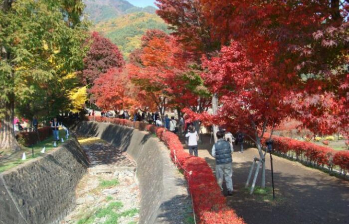 河口湖もみじ回廊