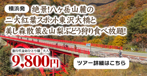 横浜発　絶景！八ヶ岳山麓の二大紅葉スポット東沢大橋と美し森散策＆山梨ぶどう狩り食べ放題！