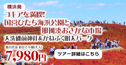 横浜発　コキアを満喫！国営ひたち海浜公園と那珂湊おさかな市場　大洗磯前神社＆かねふく明太パーク