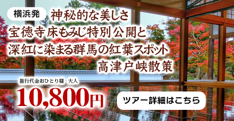 横浜発　神秘的な美しさ宝徳寺床もみじ特別公開と深紅に染まる群馬の紅葉スポット高津戸峡散策