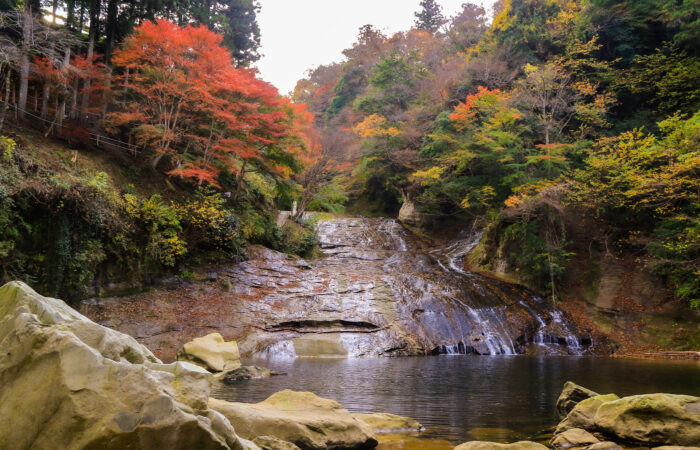 養老渓谷粟又の滝