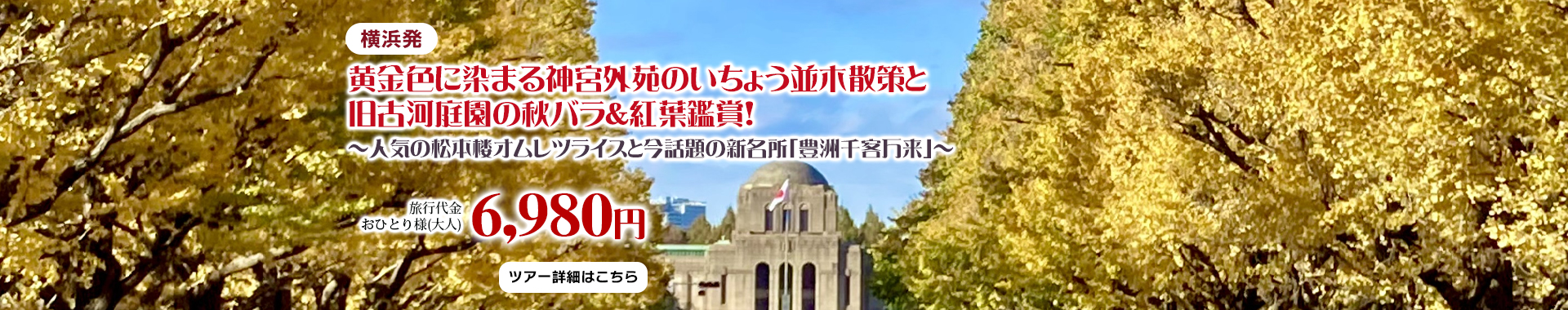 横浜発　「旧古河庭園」バラ鑑賞！神宮外苑のいちょう並木散策と新名所「豊洲千客万来」