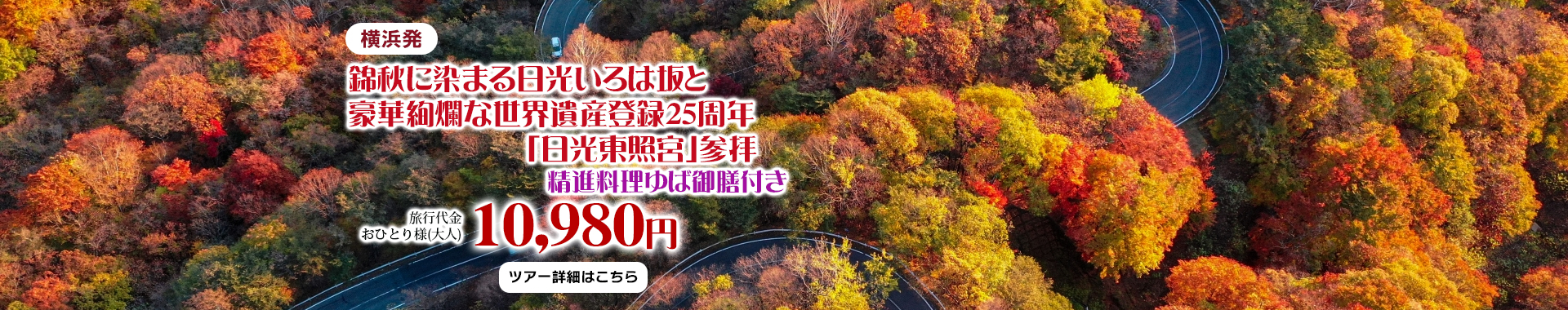 横浜発　錦秋に染まる日光いろは坂と豪華絢爛な世界遺産登録25周年「日光東照宮」参拝　精進料理ゆば御膳付き
