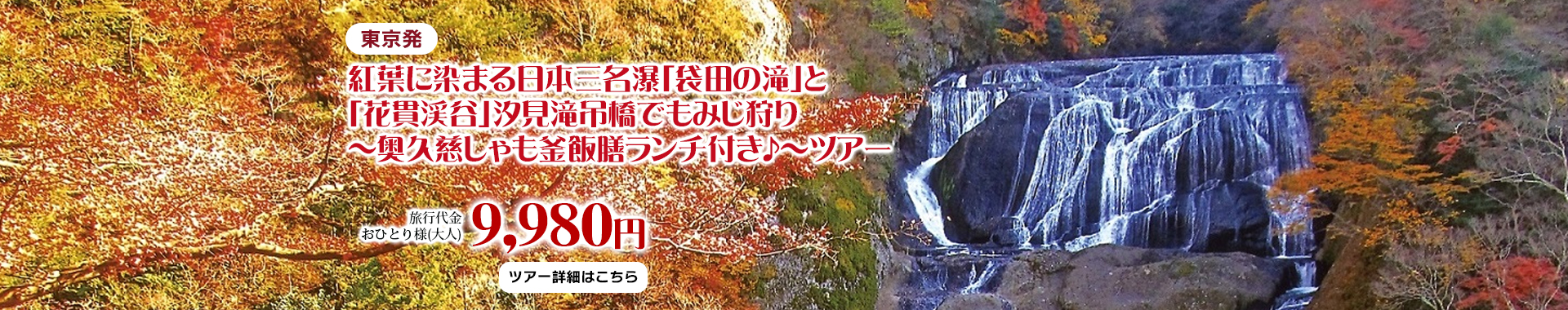 艶やかな紅葉に染まる日本三名瀑「袋田の滝」と茨城秋の名所「花貫渓谷」汐見滝吊橋でもみじ狩り ～湯葉料理専門店で奥久慈しゃも釜飯膳ランチ付き♪～ツアー