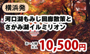 河口湖もみじ回廊散策とさがみ湖イルミリオン