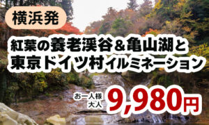 紅葉の養老渓谷＆亀山湖と東京ドイツ村イルミネーション