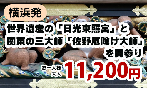 横浜発　日本屈指のパワースポット！世界遺産の「日光東照宮」と関東の三大師「佐野厄除け大師」を両参り