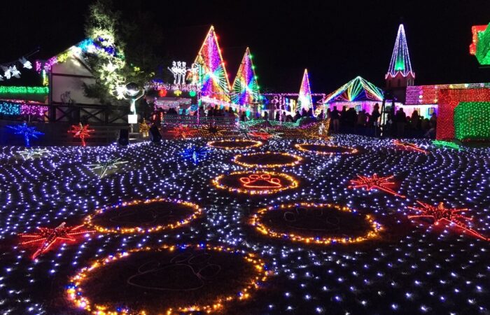 東京ドイツ村