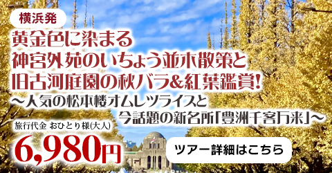 横浜発　「旧古河庭園」バラ鑑賞！神宮外苑のいちょう並木散策と新名所「豊洲千客万来」