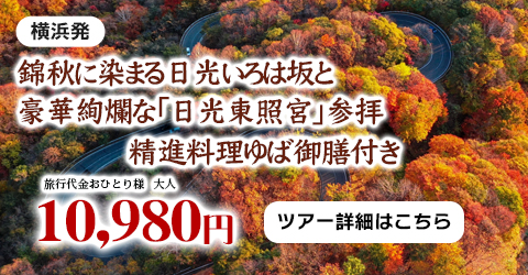 横浜発　錦秋に染まる日光いろは坂と豪華絢爛な世界遺産登録25周年「日光東照宮」参拝　精進料理ゆば御膳付き