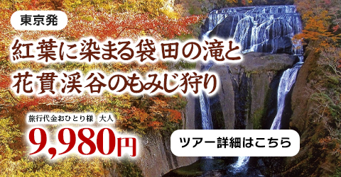 艶やかな紅葉に染まる日本三名瀑「袋田の滝」と茨城秋の名所「花貫渓谷」汐見滝吊橋でもみじ狩り ～湯葉料理専門店で奥久慈しゃも釜飯膳ランチ付き♪～ツアー