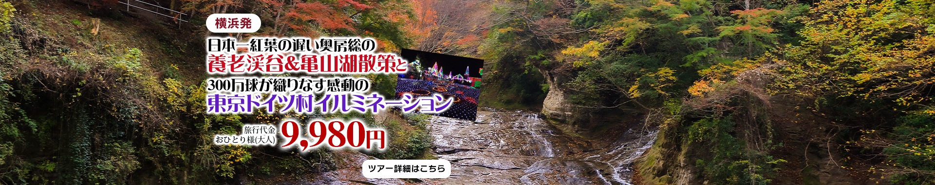 横浜発　日本一紅葉の遅い奥房総の養老渓谷＆亀山湖散策と300万球が織りなす感動の東京ドイツ村イルミネーション