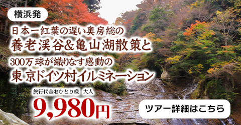 横浜発　日本一紅葉の遅い奥房総の養老渓谷＆亀山湖散策と300万球が織りなす感動の東京ドイツ村イルミネーション