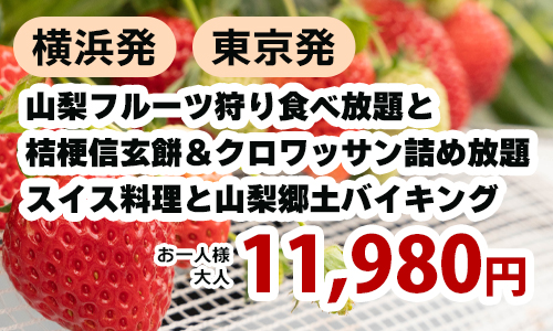 山梨で季節のフルーツ狩り食べ放題と大人気！桔梗信玄餅詰め放題＆バスツアー名物クロワッサン詰め放題!スイス料理と山梨郷土バイキング